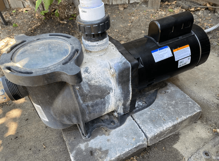 Pool Pump Motor